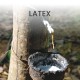 Premier Biospring lateks